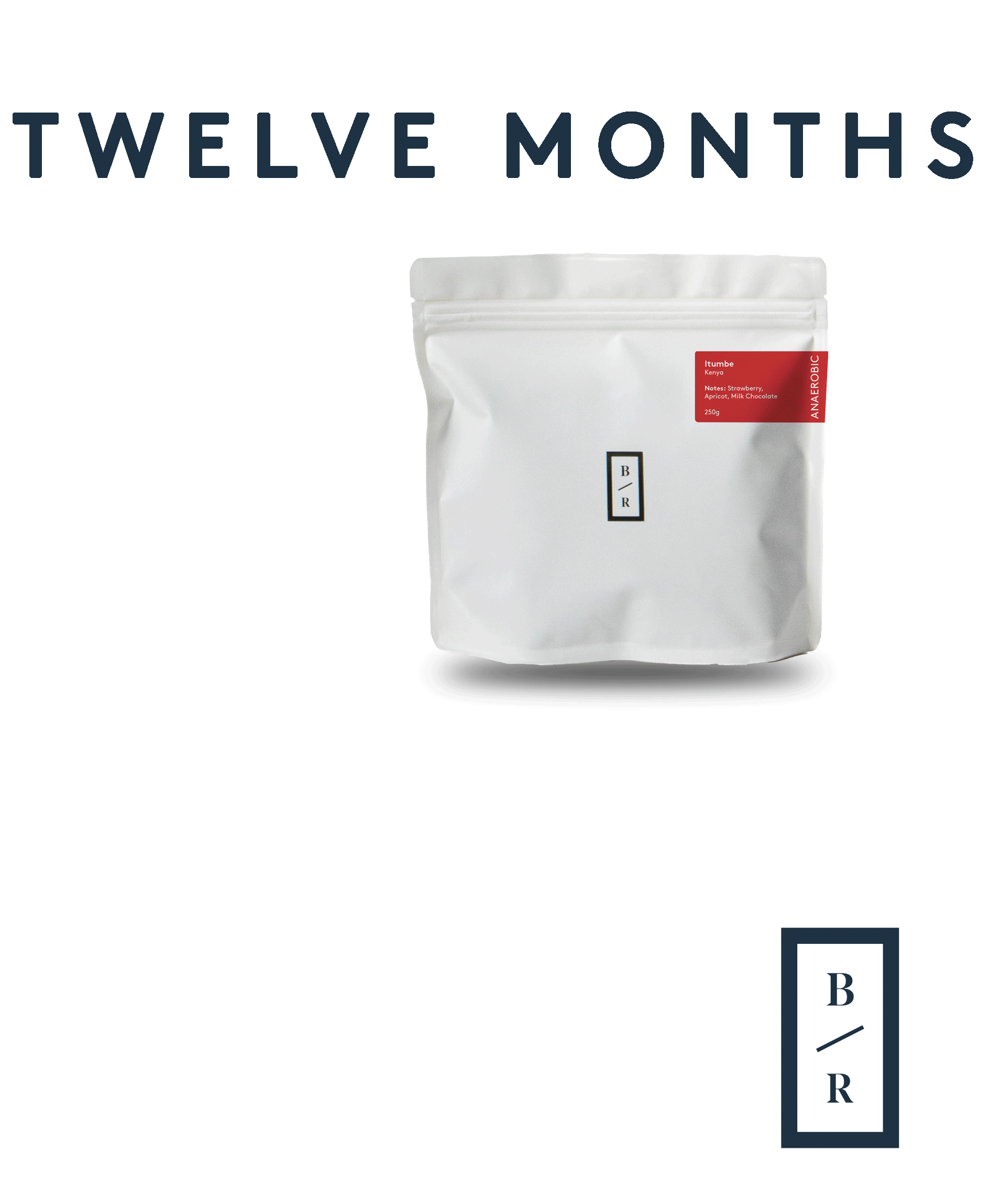 Gift subscription (12 months)