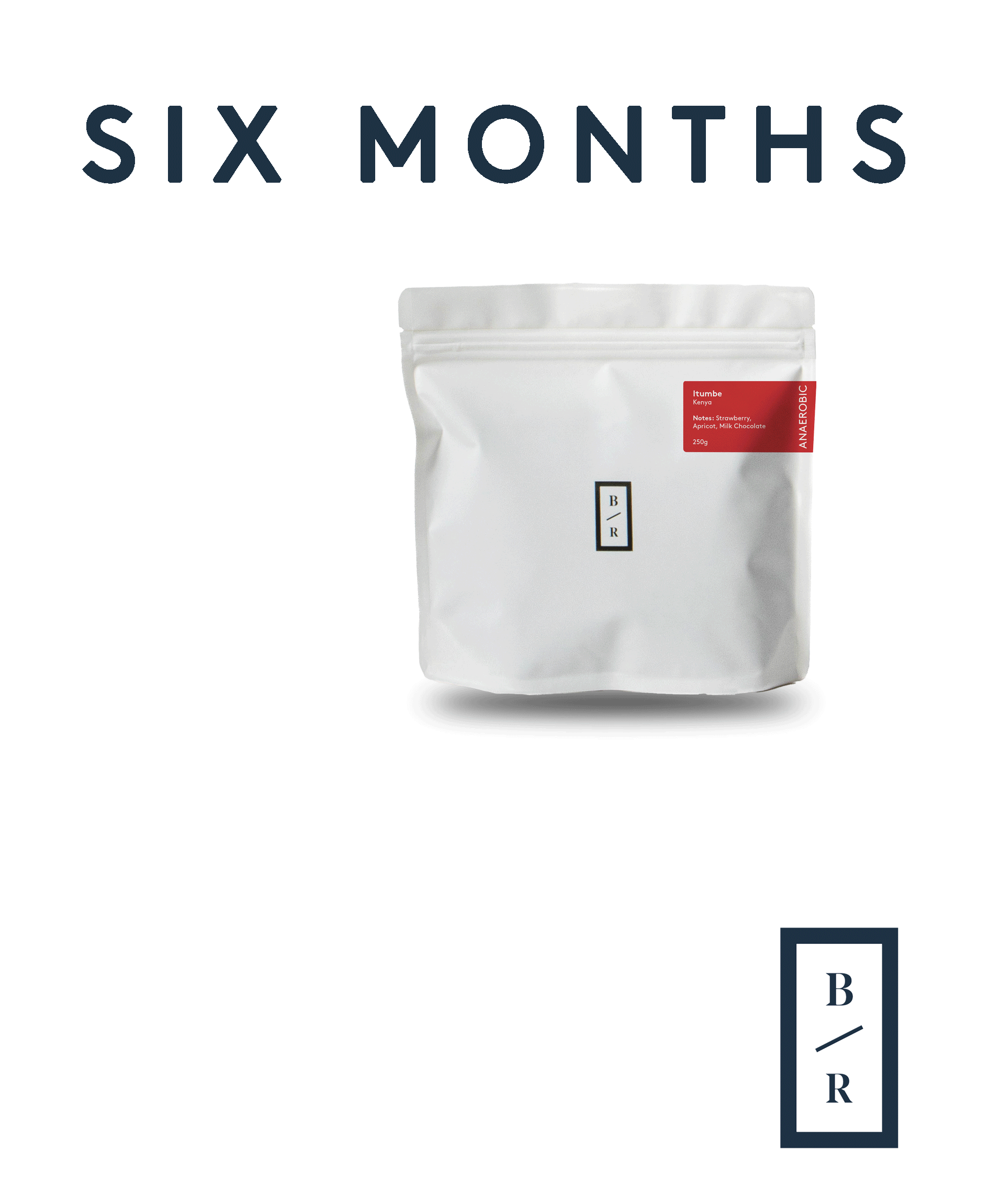 Gift subscription (6 months)