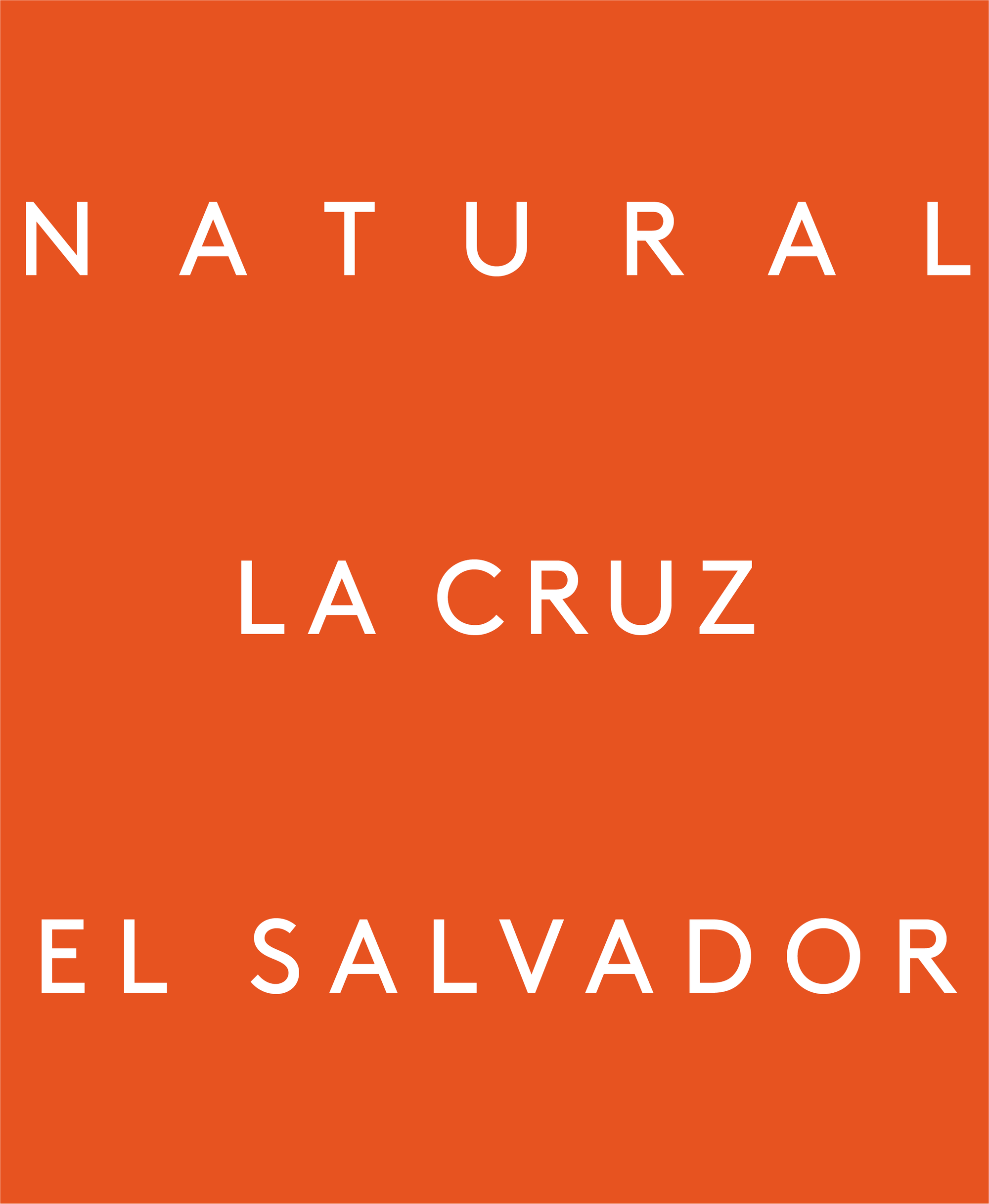 La Cruz X Root & Branch Birthday Coffee, El Salvador