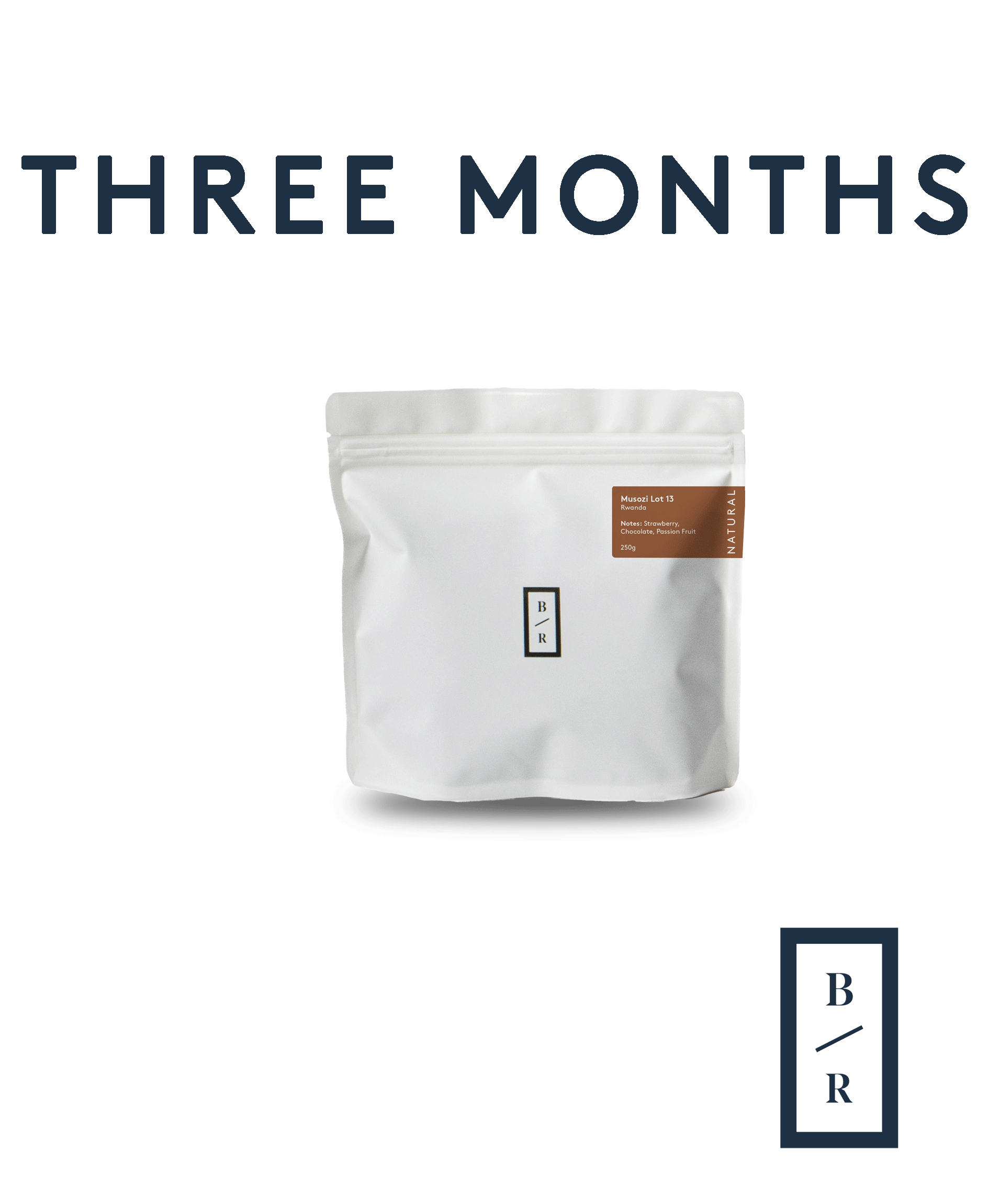 Gift Subscription (3 Months)